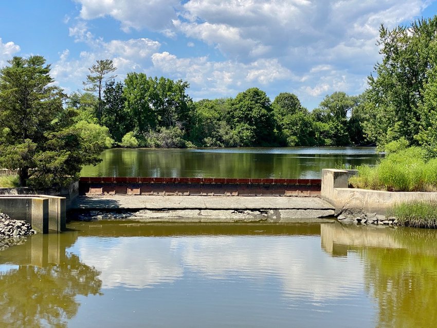 The lower Kickemuit Reservoir dam on Child Street is becoming less and less effective at keeping saltwater from traveling north into the reservoir.
