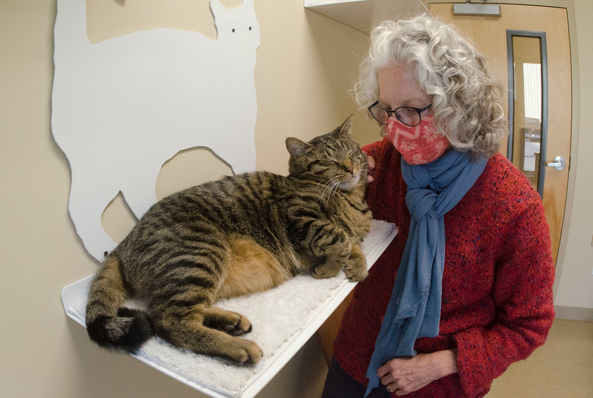 Julie Brigidi, longtime shelter volunteer and board member of the Friends of the Bristol Animal Shelter, spends some time with Ollie, a cat who was temporarily surrendered by his owner, who is struggling to find cat-friendly housing. According to Ms. Brigidi, serving as a temporary shelter for pet owners who are experiencing hardship is one of the many ideal ways the Friends would like to see the shelter utilized. &ldquo;This could be a godsend for families experiencing displacement or hardship for any of a number of reasons,&rdquo; said Ms. Brigidi, who added that Ollie&rsquo;s owner is very much looking forward to reclaiming him as soon as she is able.