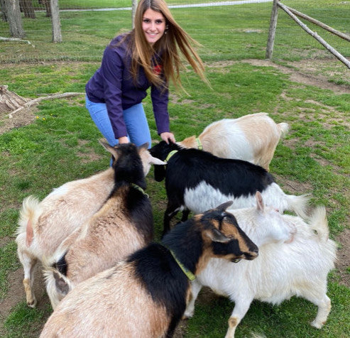 Barrington's Soraya Fanion is raising money to bring climbing structures to the goats at Mount Hope Farm.