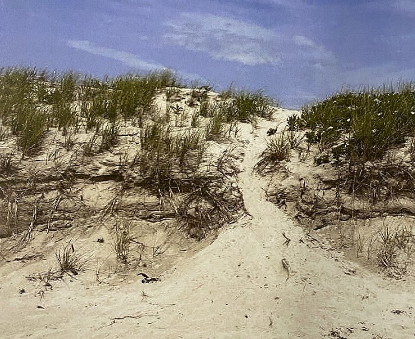 A photo of the Cherry &amp; Webb dunes from the application on file with the conservation commission.