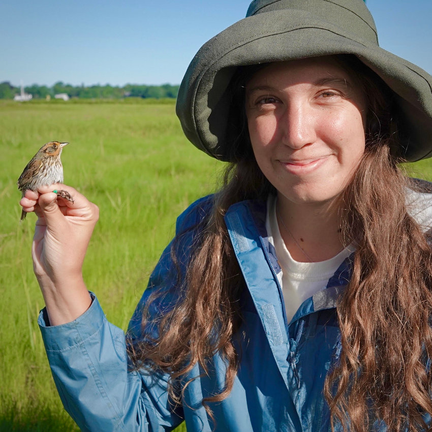 Jessica Szpila poses with a freshly-banded female Saltmarsh Sparrow, just before releasing her.