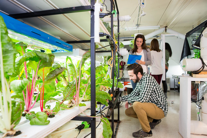Students in the aquaponics lab are working with professor Jameson Chace to get a Rwanda fish and vegetable farming program off the ground.