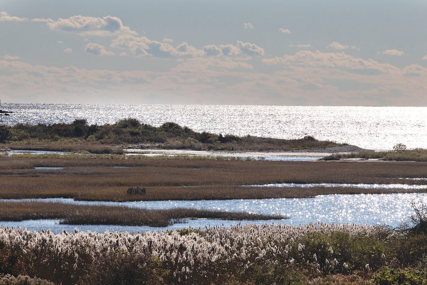 Almy Creek, at center, includes pristine beachfront, salt marshes and coastal thickets.
