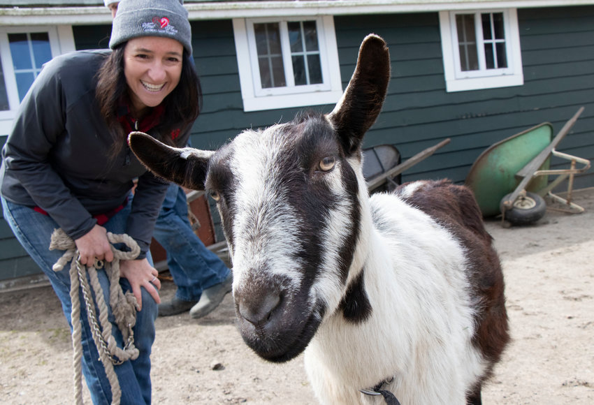 Maggie, a goat rescued from Westport six years ago, catches up with West Place executive director Wendy Taylor.