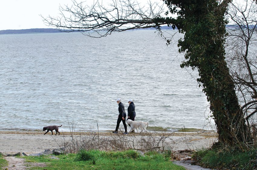 Two people and their canine companion walk along the shoreline near Nayatt Road in Barrington. These two happened to be traveling directly along the proposed &ldquo;recognizable high tide line,&rdquo; noted by the presence of seaweed and debris left by a recent high water line.