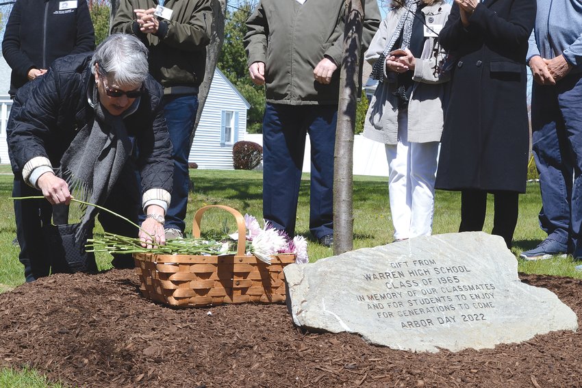Nancy (Zinni) Telford places a flower next to a stone dedicated to the members of the Warren High School Class of 1965 who have passed away. More than two dozen members of that same class came together on Friday to plant a tree for Arbor Day and instill a sense of lasting friendship for generations of students to come.