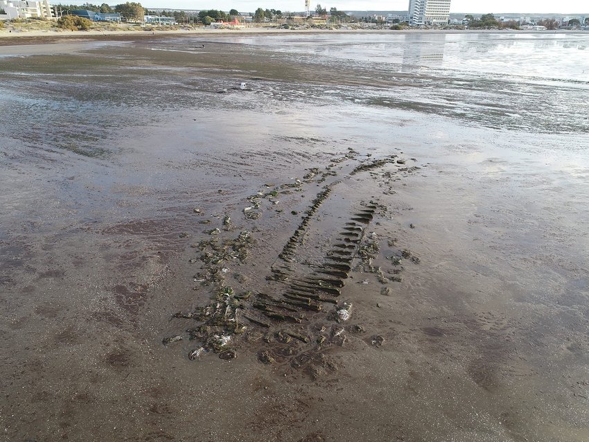 The wreck of a ship thought to be the 19th-century Rhode Island whaler&nbsp;Dolphin&nbsp;at low tide off Puerto Madryn, Argentina.