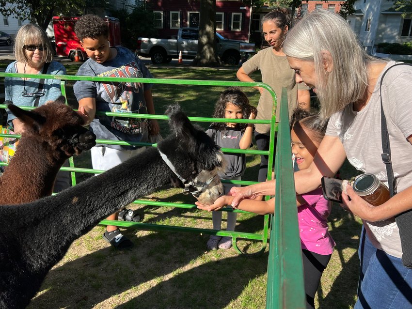 A petting zoo will continue to be a part of the new monthly community Block Party series at the Weaver Library, replacing the weekly former farmers market.