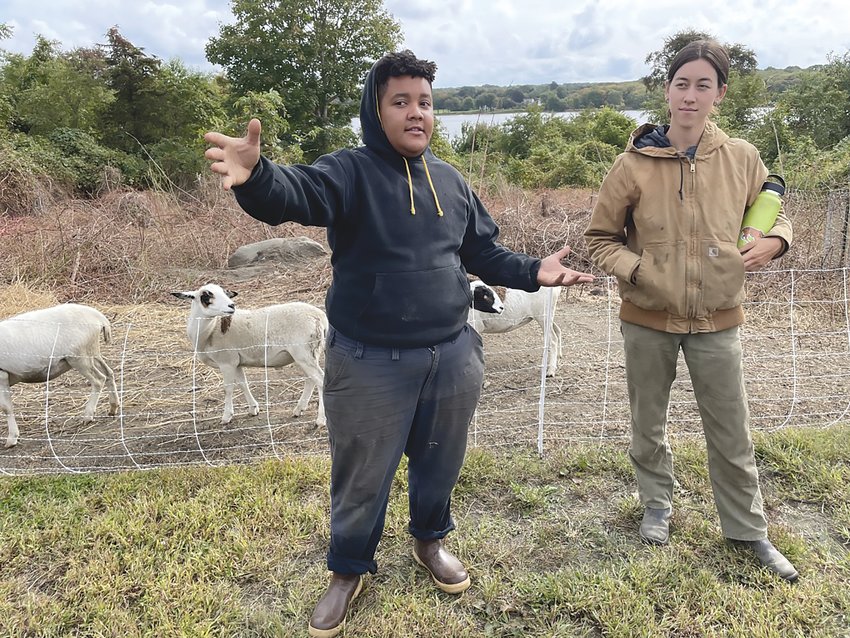 Sajo Jefferson (left) and Julia Chang, who are both part of the leadership team at Movement Ground Farm in Tiverton, gave visitors a tour of the farm, stopping to talk about the sheep behind them, and the unique efforts of their farm to engage young and minority populations in farming. Everyone on the leadership team at Movement Ground is under the age of 35 and most come from Providence to work there.