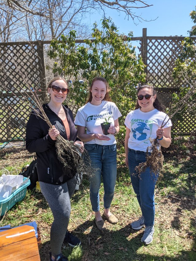 Eastern Rhode Island Conservation District volunteers sort seedlings at the annual Earth Month Seedling Sale in April 2022.