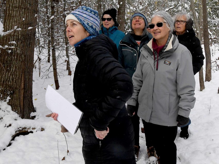 Cindy Elder (front), executive director of the Barrington Land Conservation Trust, leads a winter walk through Sowams Woods, one of the properties preserved by the land trust.