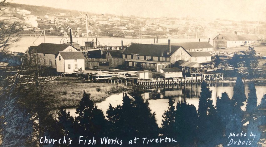 Photo shows Church brothers large-scale fisheries operation on Common Fence Point in the early part of the 20th century. The company, which went by Narragansett Oil Works and other names, would extract oil from menhaden for fish oil and fertilizer. Town Historian Jim Garman said old postcards, like this one, often misidentified the company as being from Tiverton.