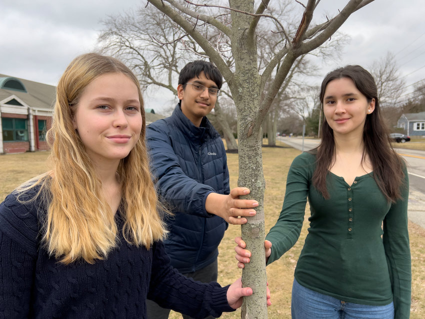 Emma Pautz, Siddharth Gupta and Abigail Goblick (from left to right) are selling tree saplings to off-set the use of paper at Barrington High School. Saplings are $5 each.