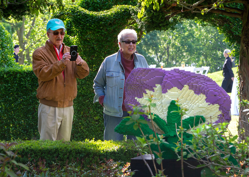 John and Sky Williams of Newport take a photo while gazing at the pansy made out of LEGOs. It used more than 29,000 bricks and took 240 hours to build.