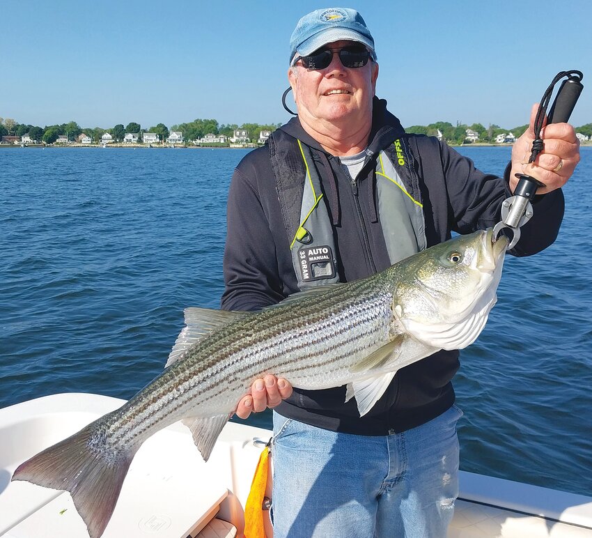 Angler Bob Donald of North Kingstown caught bass to 33&rdquo; trolling tube &amp; worm north of Conimicut Light. An influx of pogies enhanced the striper bite last week.