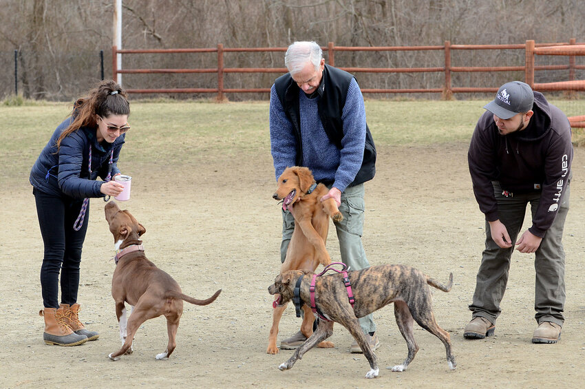 The Portsmouth Dog Park Committee is seeking volunteer members to support the maintenance of and improvements to the park.