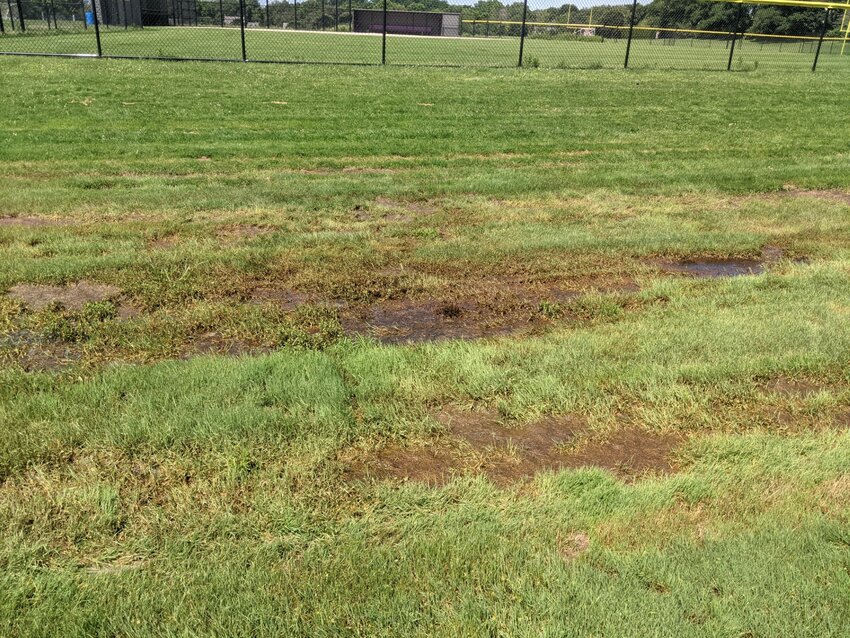 Letter writer Mike Proto took this photo of a swampy field shortly after a recent rainstorm to illustrate his point that claims of flooding at the school were not simply over-exaggerated.