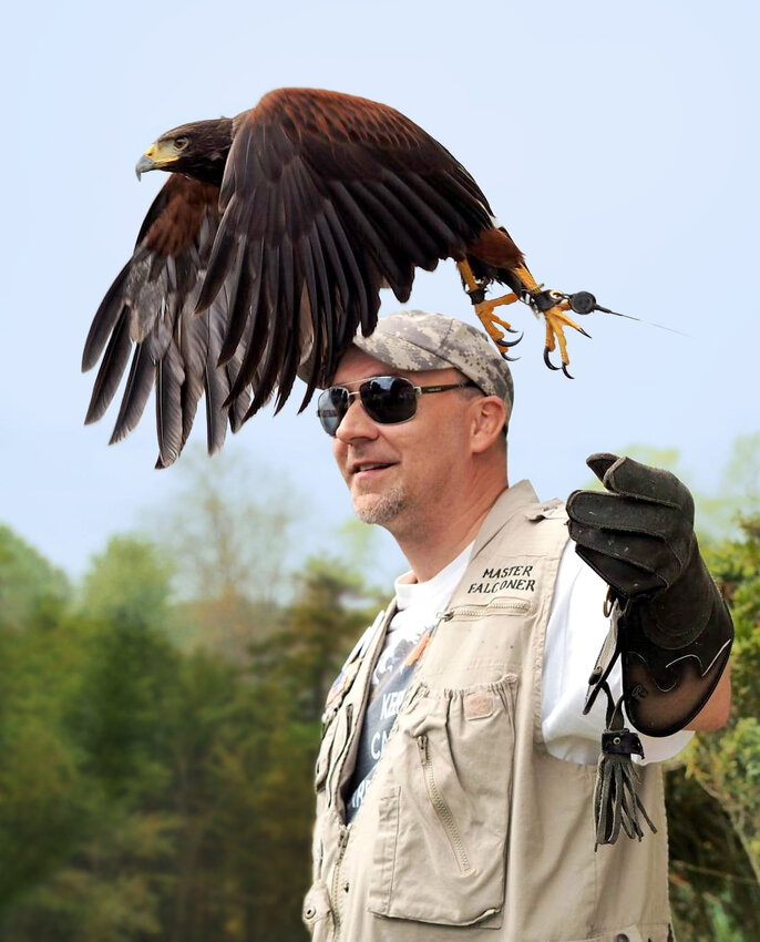 Master Falconer Greg Wojtera flies a Harris's Hawk