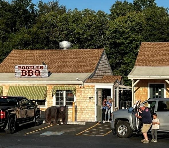 This faked photos purportedly shows a brown bear at Bootleg BBQ over the weekend. Though it&rsquo;s not real, there was a sighting of a black bear at the transfer station Thursday.