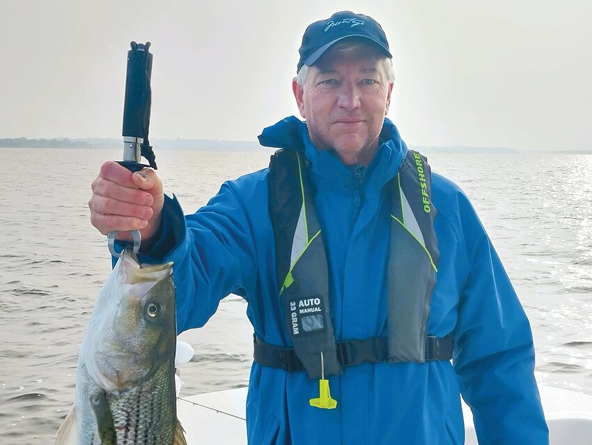 Angler Dave Hanuschak caught multiple striped bass to 29&rdquo; that were feeding Sunday on the surface in Greenwich Bay.