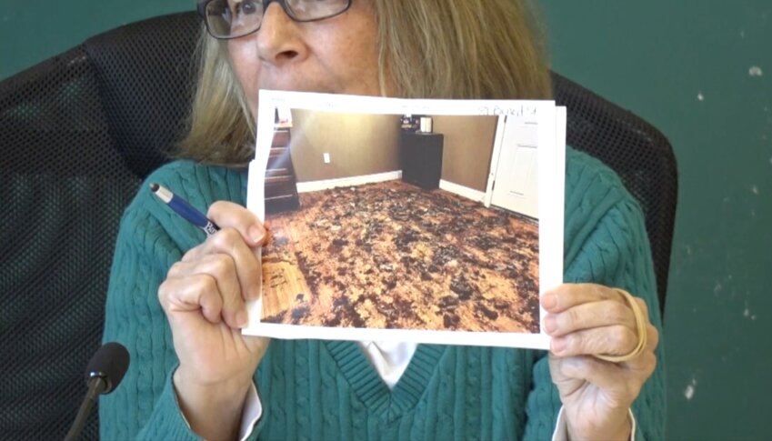 Donna Amaral shows a photograph taken inside the 81 Benoit St. home last month, following a complaint to the town.