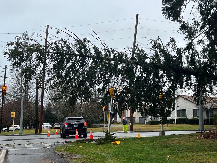 A large pine tree broke during Monday morning&rsquo;s storm and fell across wires at the intersection of Middle Highway and Route 103.