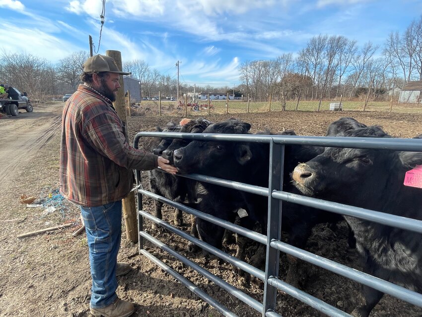 Patrick Usher gives some love to a few of his Black Angus cows, which he hopes is the start to a successful beef operation at the storied Usher Farm.