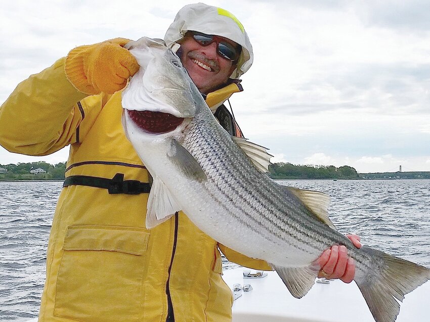 Capt. Monti with a spring striped bass caught when fishing with fresh Atlantic menhaden chucks on the channel pad or edge in front of Poppasquash Point, Bristol.