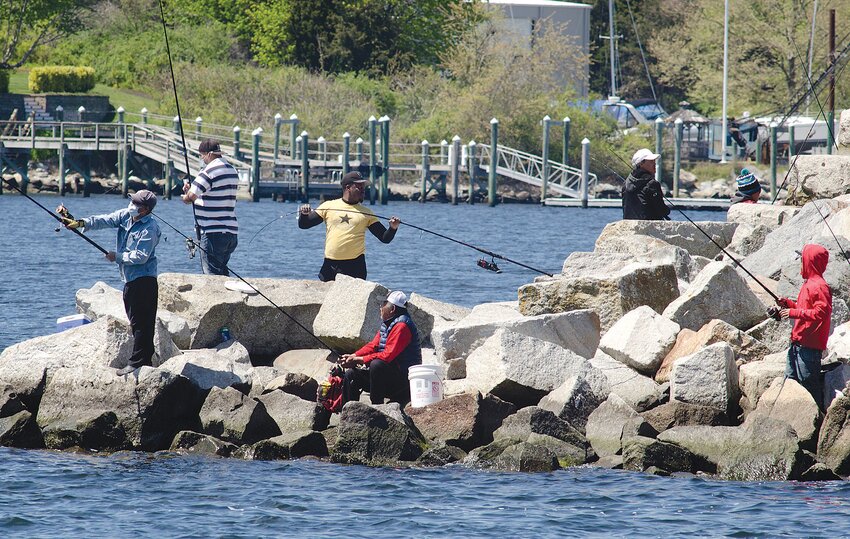 Anglers go after scup in this photo taken in Tiverton.