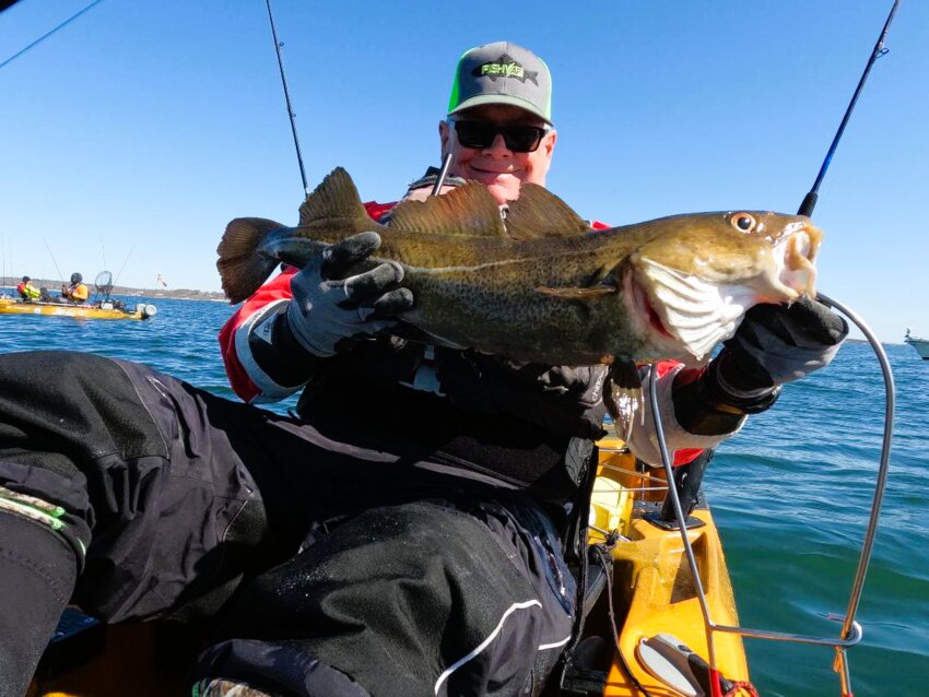 Kayak angler Tom Houde with the 26&rdquo; cod he caught Monday when fishing for tautog off Pt. Judith, Narragansett.