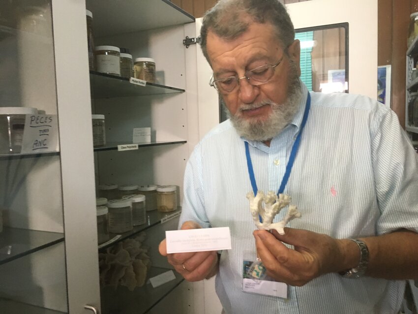 Dr. Vassil Zlatarski with some coral specimens from Cuba.