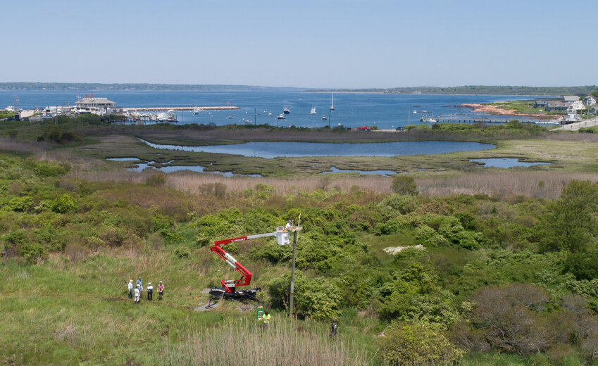 The new osprey platform is in a prime location just off from Sakonnet Point.