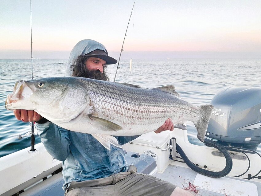 Jeff Sullivan of Lucky Bait &amp; Tackle, Warren with the 44-pound striped bass he caught on the surface off Newport last week.