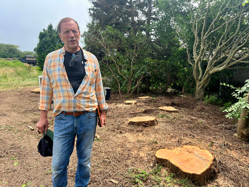 Gregory DeJean by the stumps of some of the trees cut down last Thursday.
