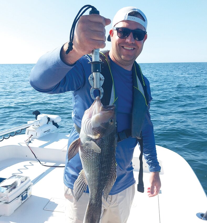 Black sea bass, like this 19&rdquo; fish caught this weekend off Newport, are here in abundance due to climate change and warming water.