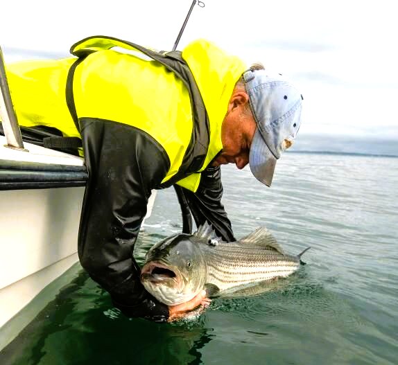 A Massachusetts Division of Marine Fisheries study says, &ldquo;We found no significant difference in striped bass mortality between circle hooks and J-hooks.&rdquo;