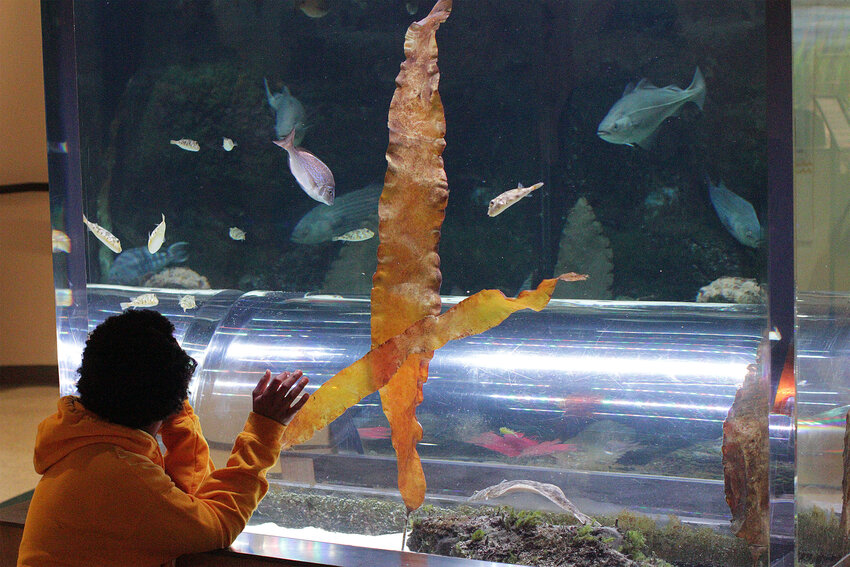 Kiana Wright, 30, (In yellow) visits the aquarium frequently, listening to music while enjoying the tranquility of the sea creatures.&nbsp;