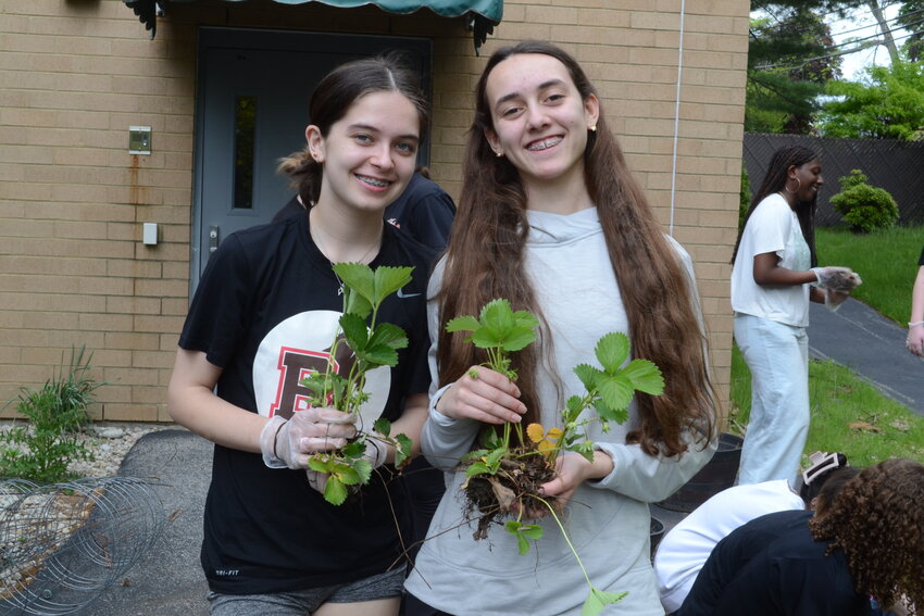 Becky Rebecca Patalano and Julia Silva hold up strawberry plants that would then be put into decorative pots and sold to raise money for the residents of Waterview Villa.