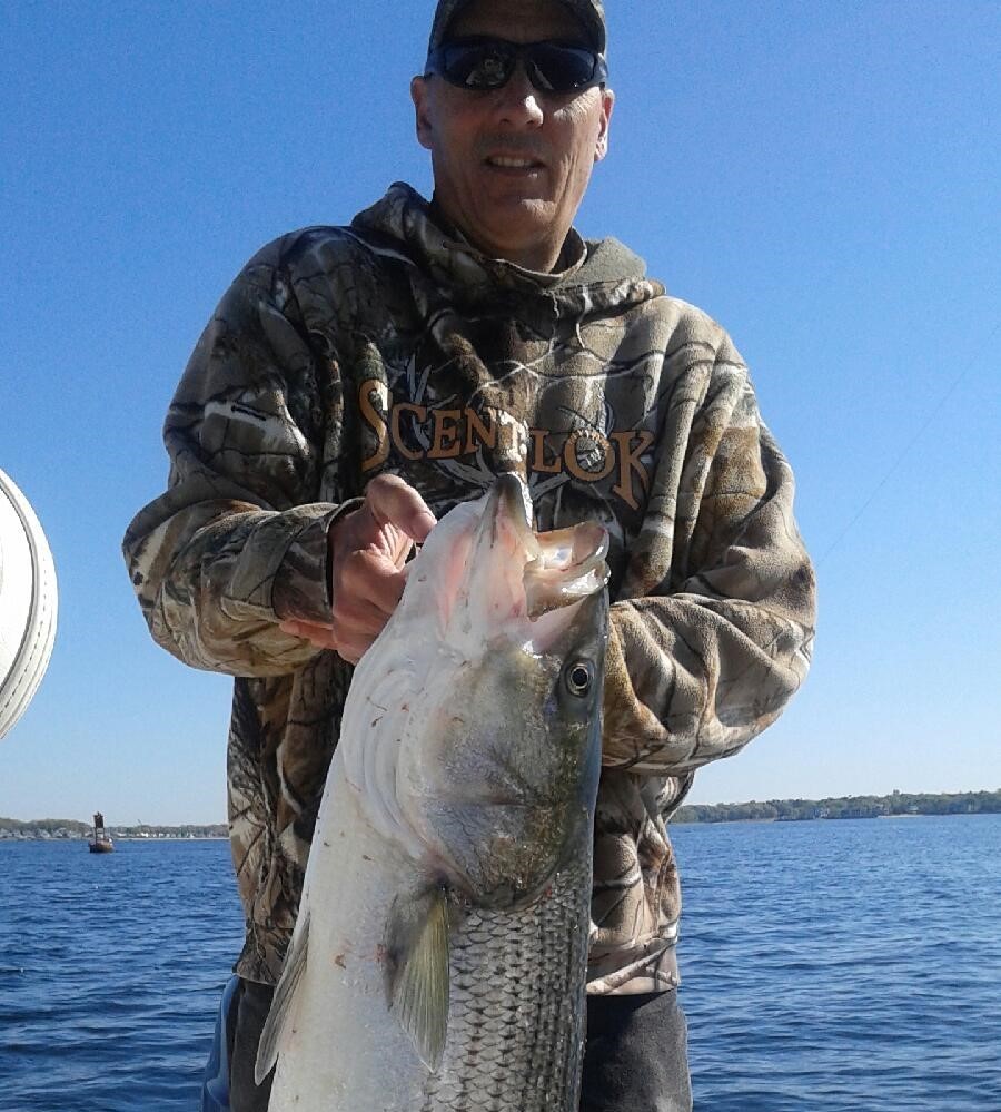 Catching that elusive striped bass   - News, Opinion, Things  to Do in the East Bay