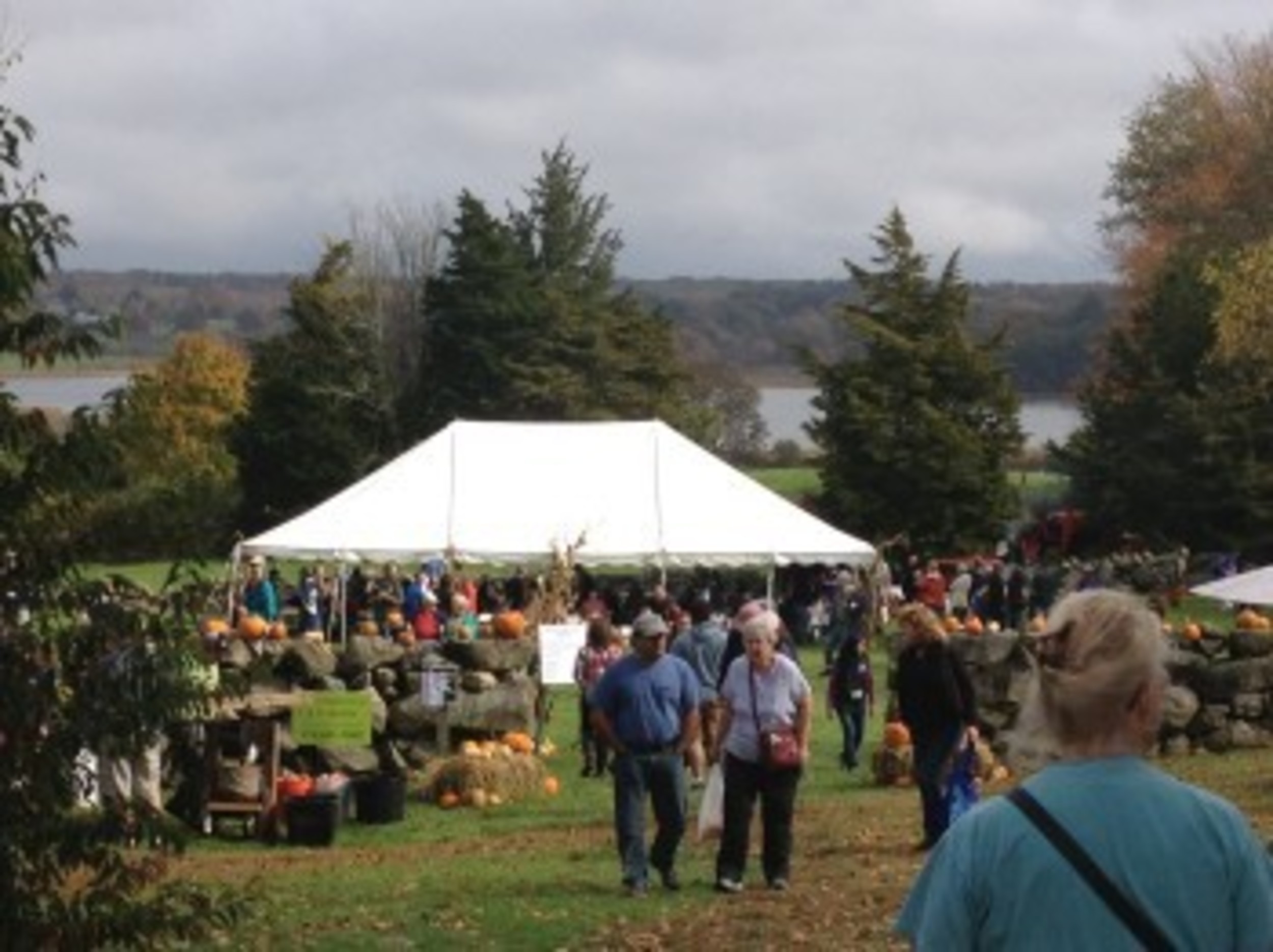 Westport Town Farm set to celebrate the harvest News