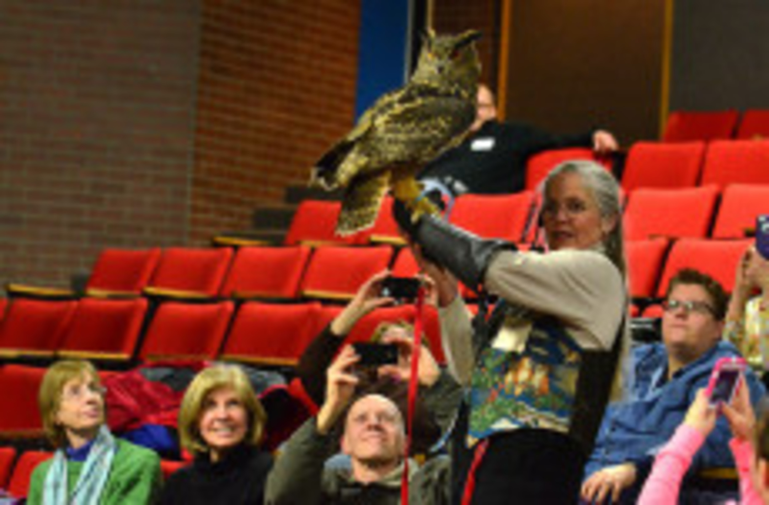 Who’s watching whom? Owls big and small entertain at middle school ...