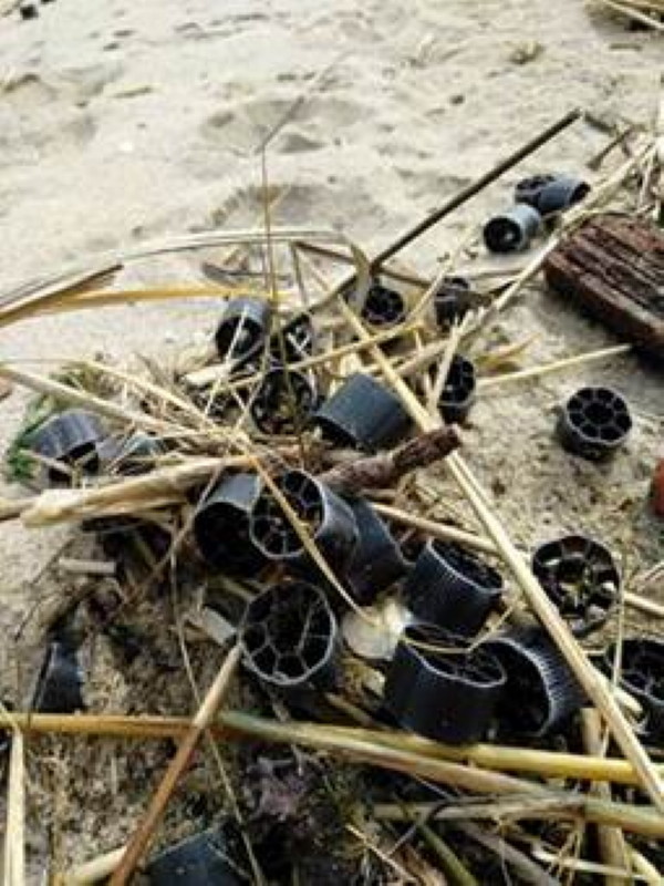 "Pinwheels" used in treating wastewater in East Providence were inadvertently discharged and recently washed ashore in the West Bay.