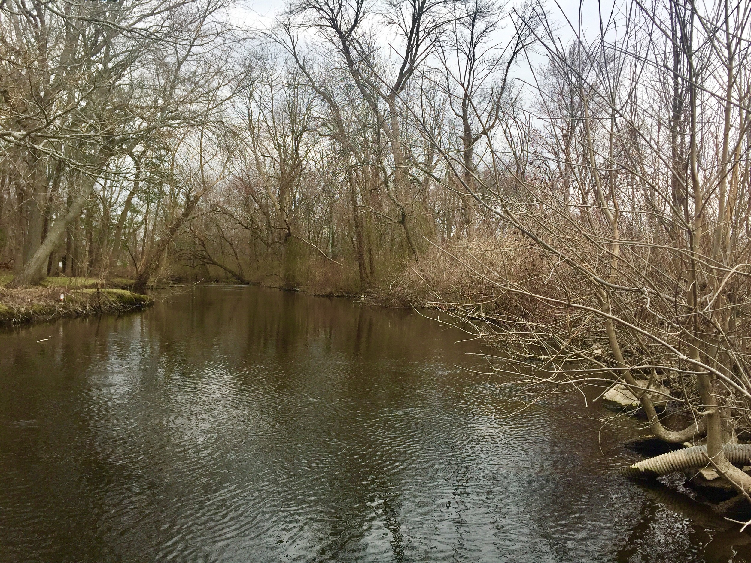 The Ten Mile River as it runs through the Agawam Hunt Club in Rumford. Preservation and access to the river was a key component in an agreement made between the club and The Nature Conservancy announced Monday, April 16.