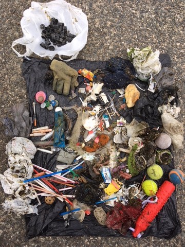 Trash collected during a recent trip to Barrington Beach.