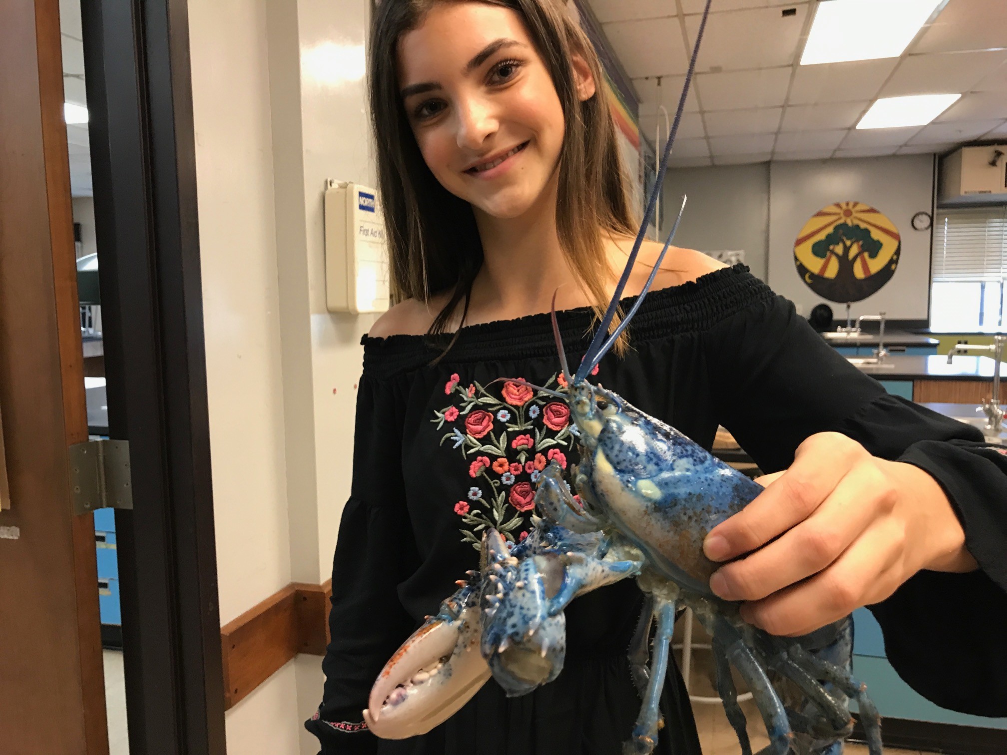Olivia Wheeler, daughter of Sakonnet Lobster II captain Luke Wheeler, holds the blue lobster moments before placing it in the saltwater tank in her Portsmouth Middle School eighth grade science classroom.