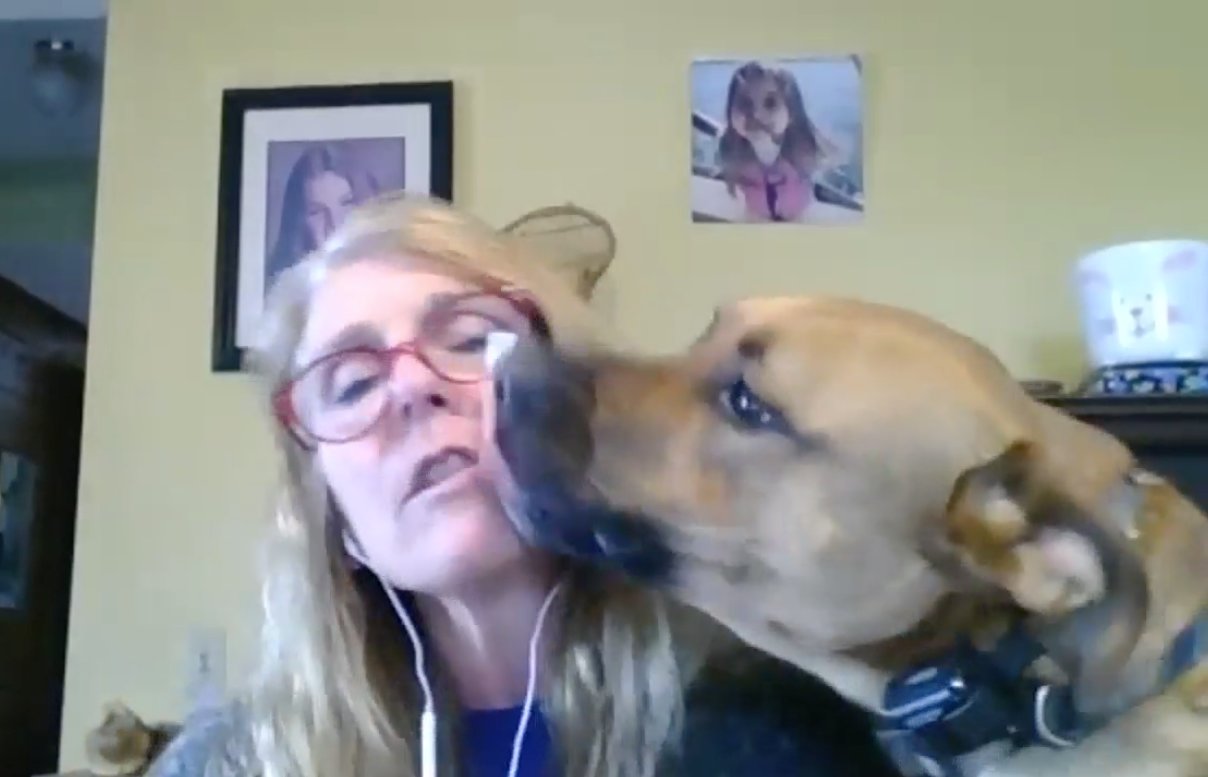 Dr. D, as she’s commonly known, gets an unexpected kiss from one of her dogs during a “Zoom” interview.