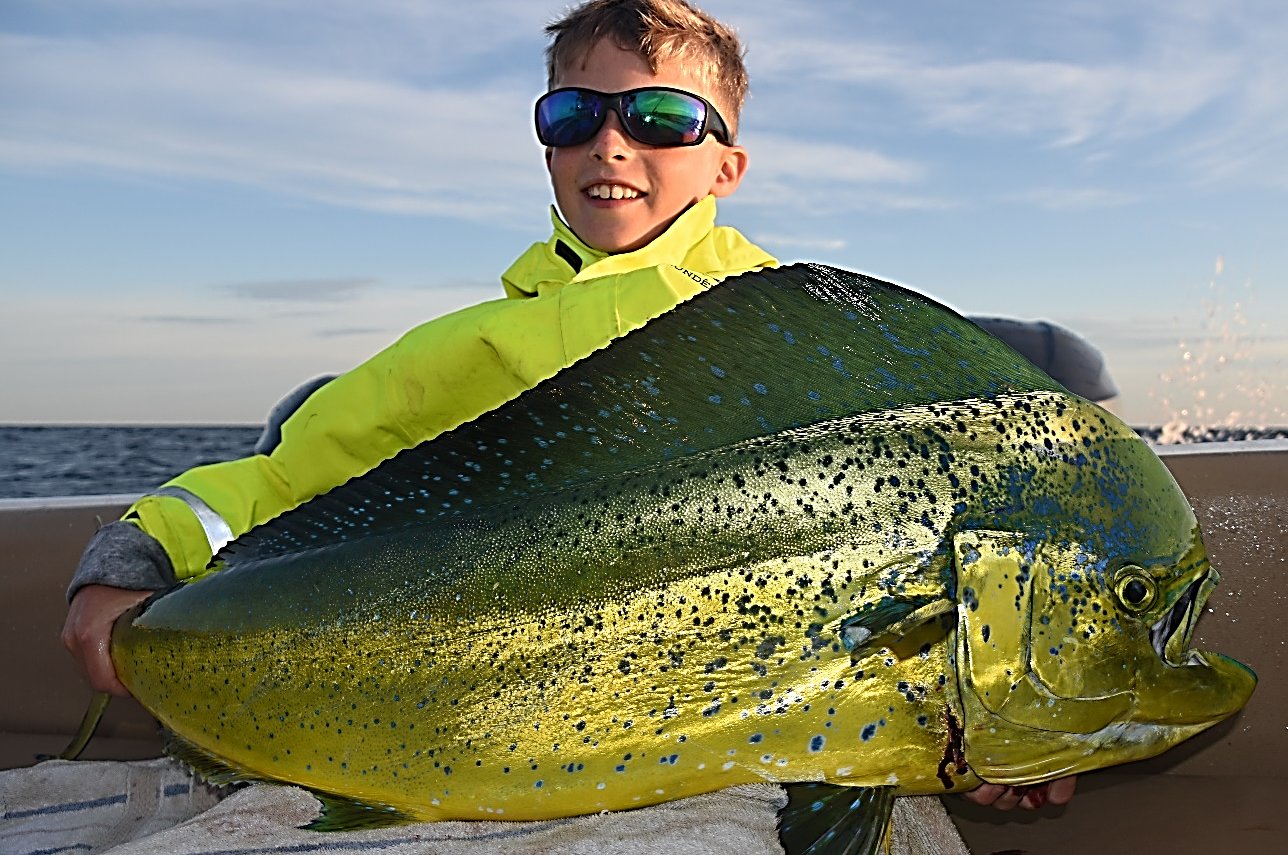 Capt. John McMurray said, “We’re catching mahi at wind farm research buoys, with multiple structures in wind farms the reef effect and pelagic fishing will be outstanding.” McMurray’s son Ollie in photo.