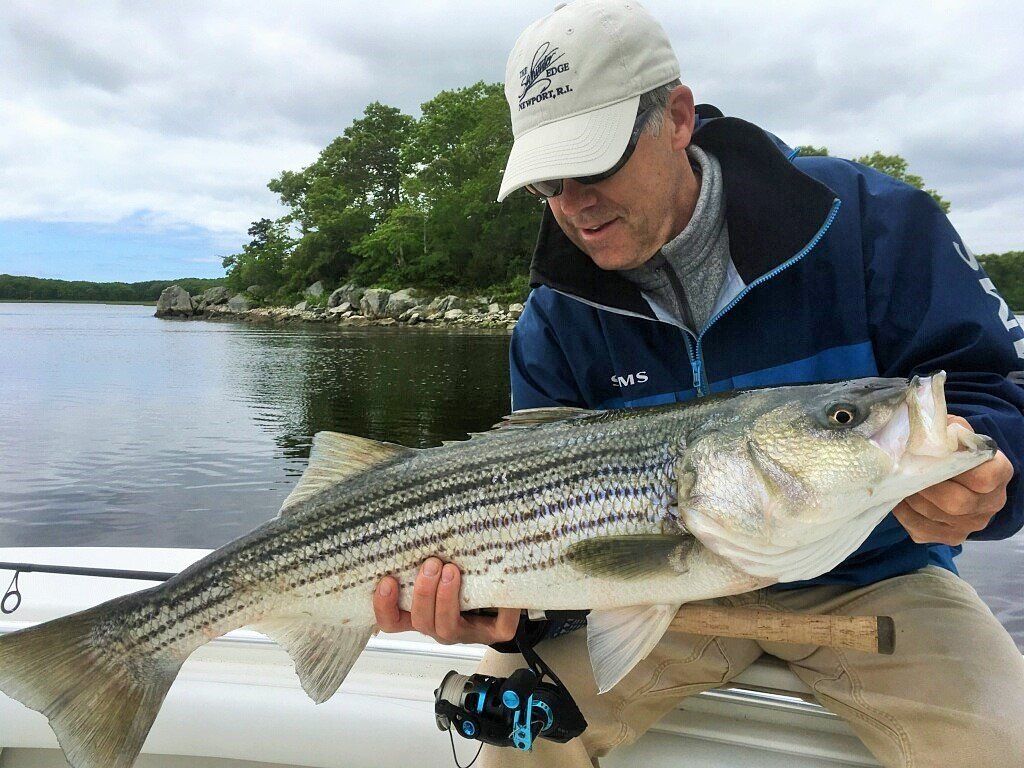 Weighing in on striped bass:  Peter Jenkins, chairman of the board of the American Saltwater Guides Association and owner of the Saltwater Edge in Middletown, was one of several recreational fishing community leaders speaking up for striped bass conservation last week.