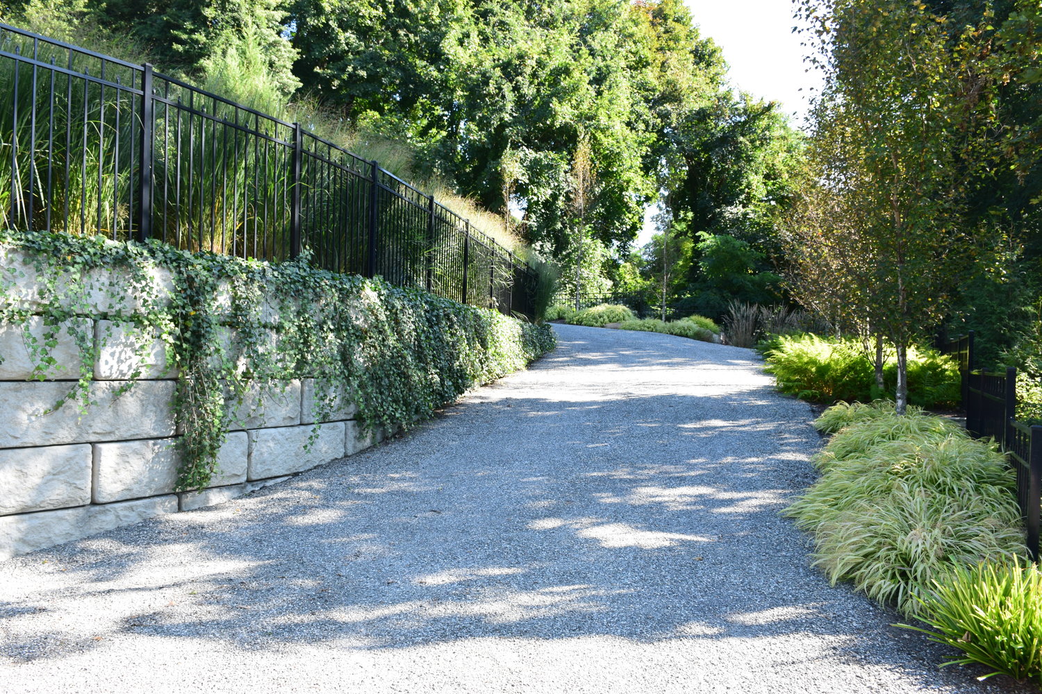 Here, the driveway uses ivy to both hide and add beauty to constructed retaining walls, and vibrant plantings line both sides of the entry to the home. Behind the iron fence is the pool area, with tall grasses creating privacy with a natural, carefree feel.