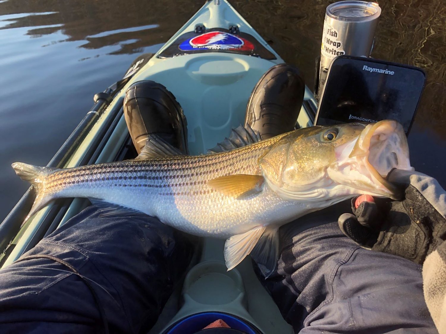 Spring stripers from a kayak: learn about kayak fishing basics and more from Todd Corayer, expert kayak fisherman and fishing writer, May 24 at a RI Saltwater Anglers Association online seminar.